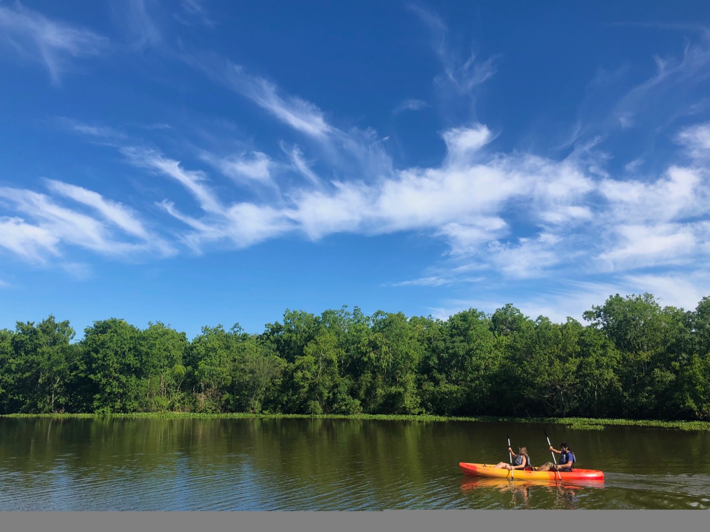 Tandem kayak paddling along the green treeline of Bayou Bienvenue